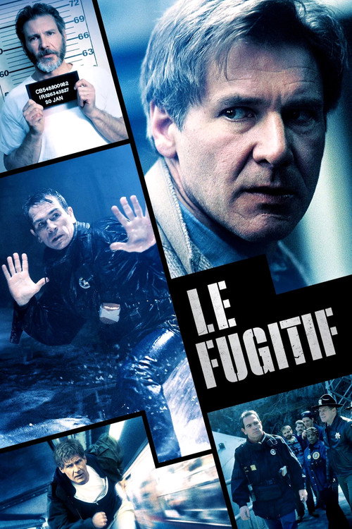 Affiche de Le Fugitif