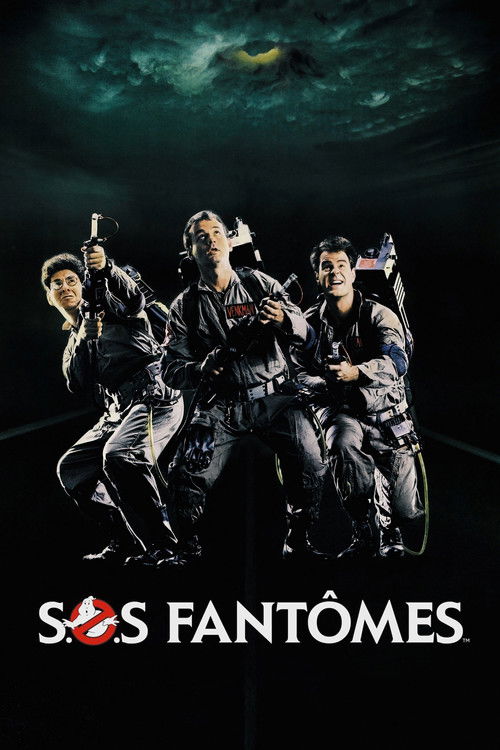 Affiche de S.O.S. Fantômes