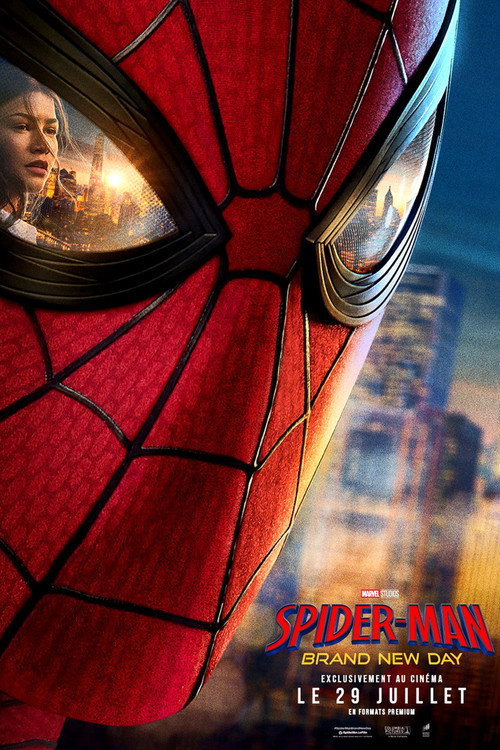 Affiche du film Spider-Man : Brand New Day